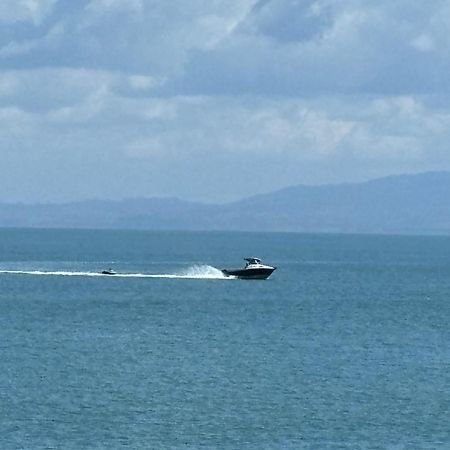 Kiwi Cabins Tapu 外观 照片